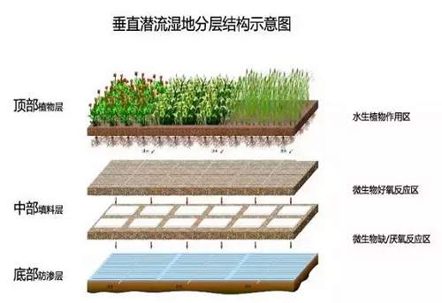 湖南森美思環(huán)保有限責(zé)任公司,長沙土壤修復(fù)技術(shù),湖南廢水治理,湖南大氣污染治理